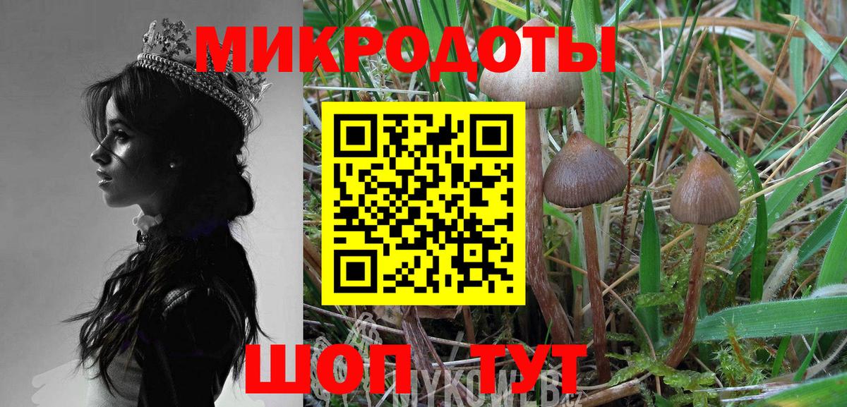 Белорецк  Псилоцибиновые грибы мицелий  Вход с VPN 